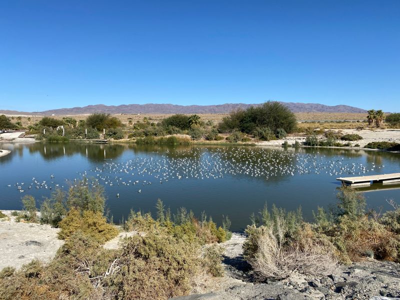 Access points and visitor basics