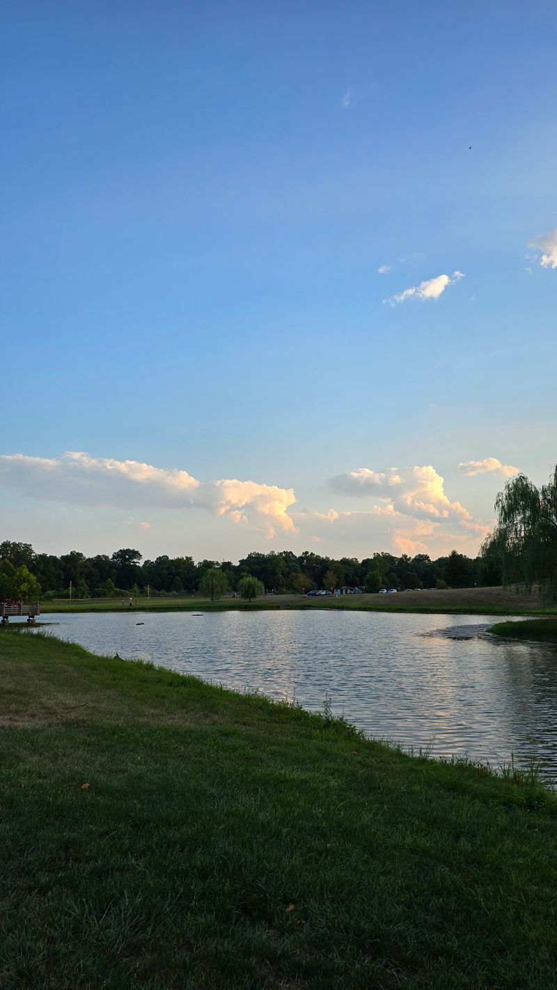 Peaceful Waterways Perfect for Quiet Reflection