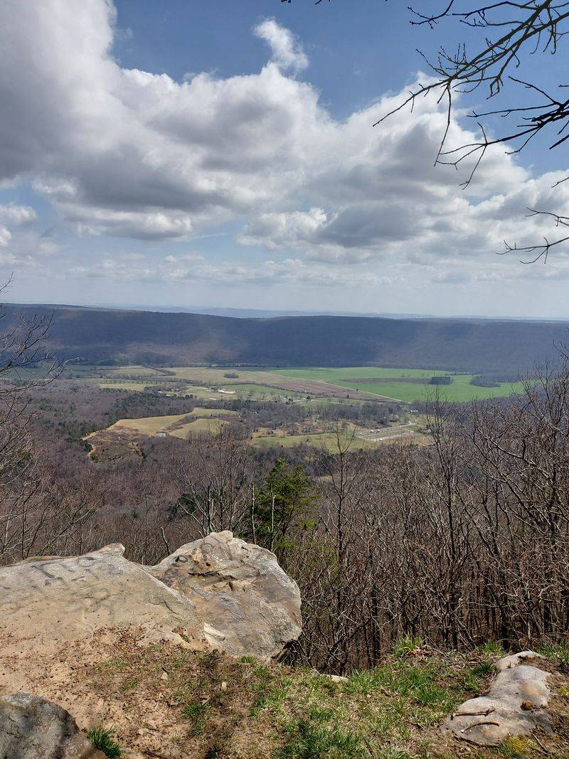 Birdwatching On The Bluff