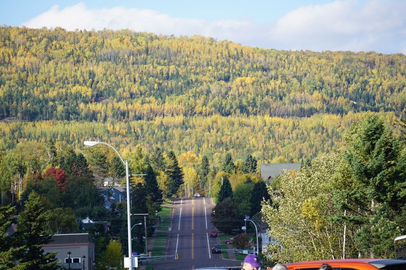Forest Trails That Lead Into Deep, Silent Woods