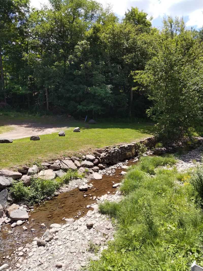 Mountain Top Arboretum Tranquility