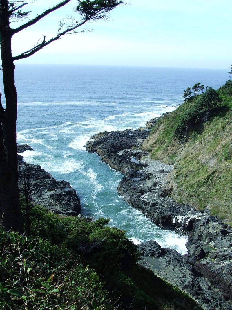 Easy Day Trips to Cape Perpetua and Coastal Wonders