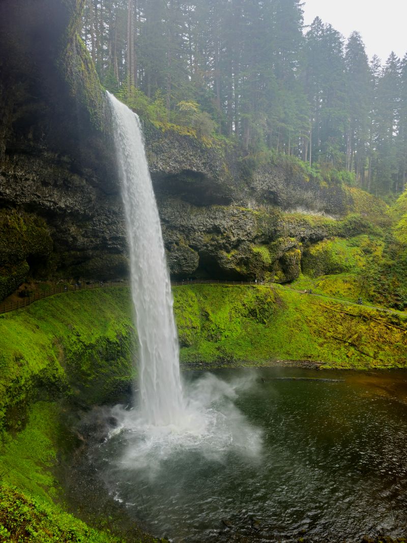 Silver Falls State Park and Silverton