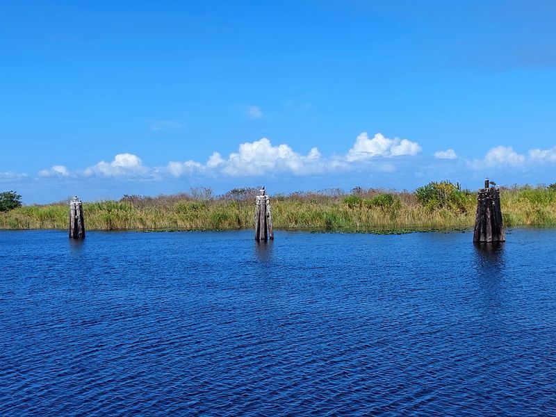 Ritta Island, Lake Okeechobee