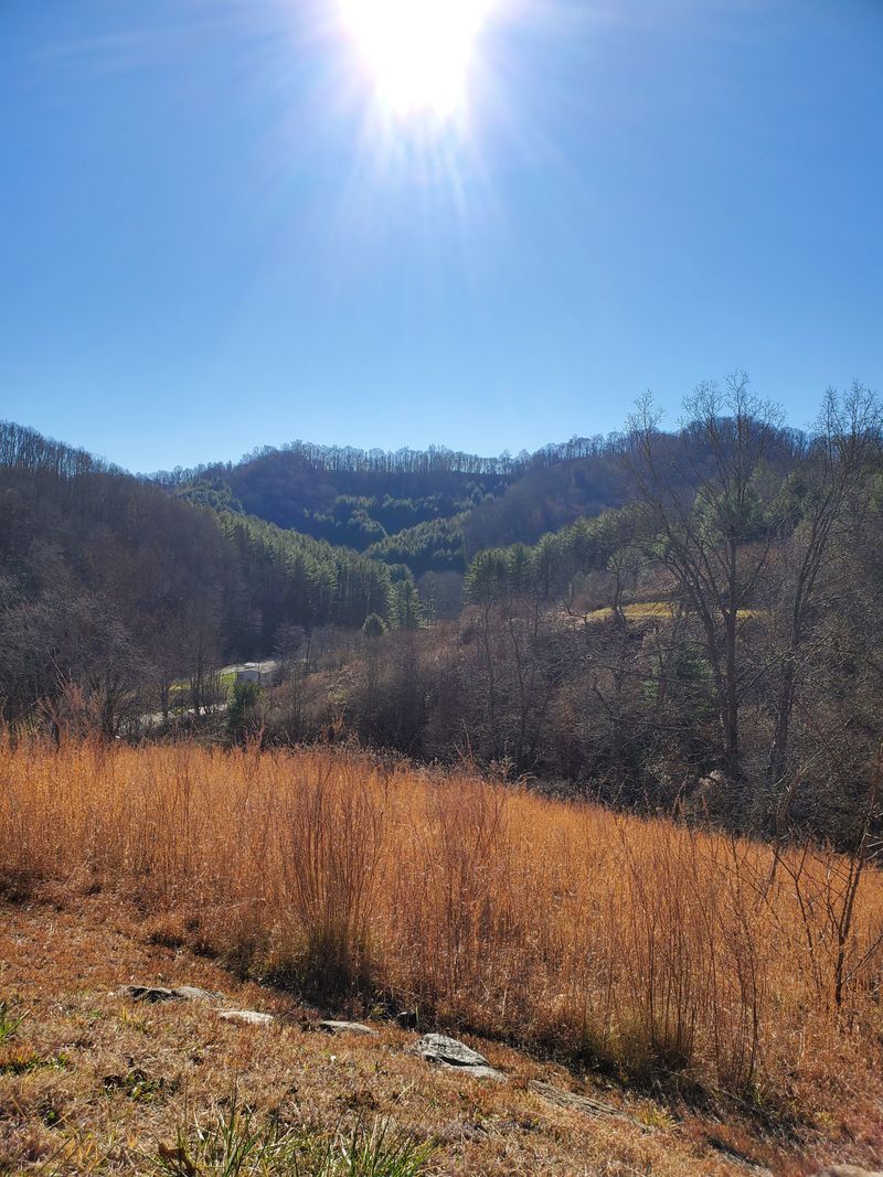 Starlit Nights Undimmed by Light Pollution