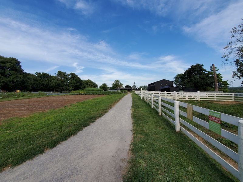 Farm-to-Table Dining That Celebrates Kentucky's Agricultural Heritage