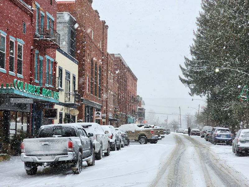Four Seasons Of Distinct Beauty