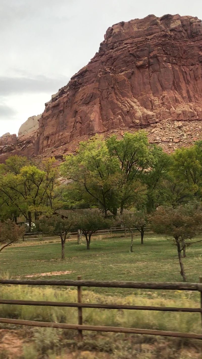 Escapism And Solitude