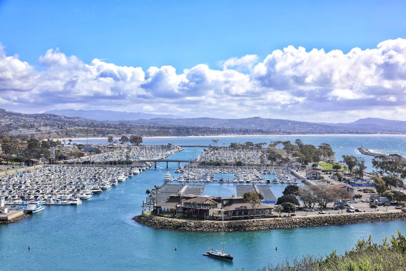 Dana Point: Where Whales and Luxury Meet