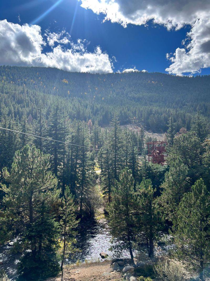 Mountain Biking Through Aspen Groves