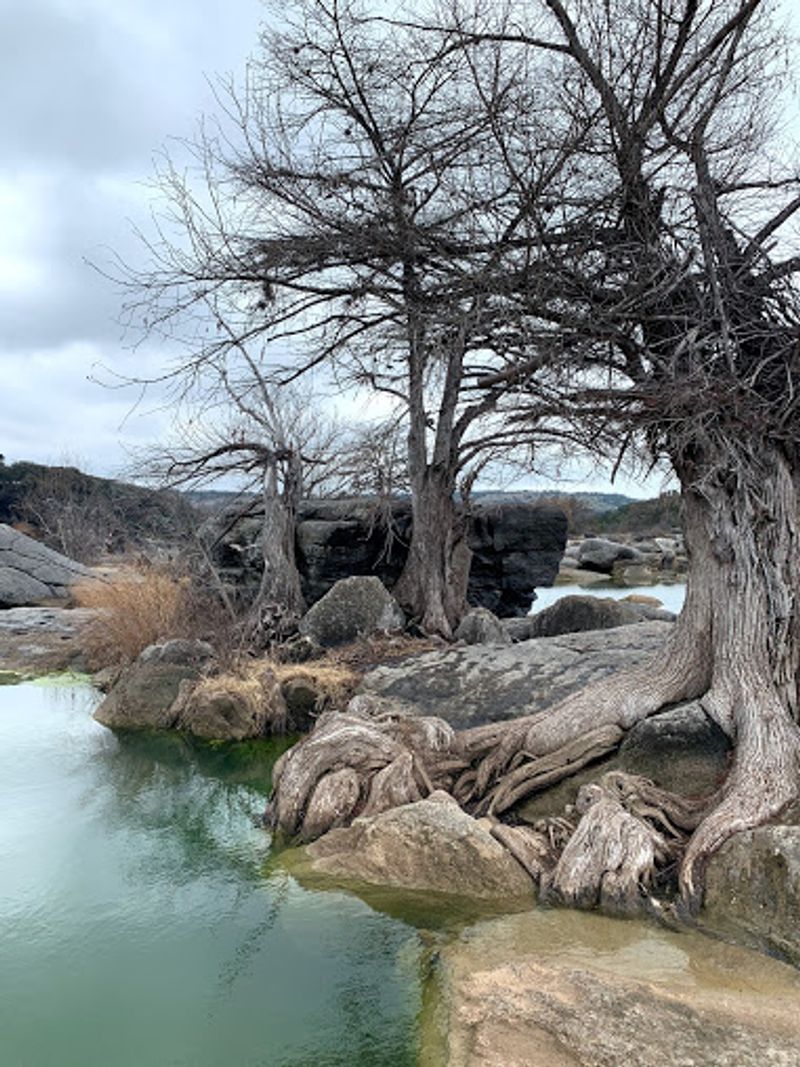 State Parks for Scenic Drives and Easy Walks