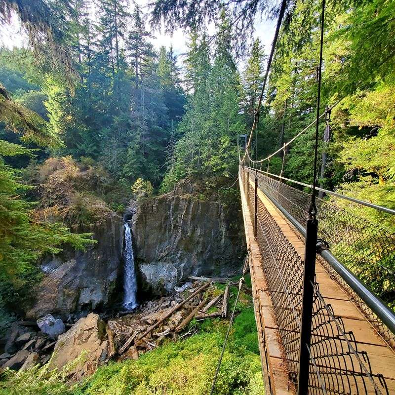 Drift Creek Falls Trail