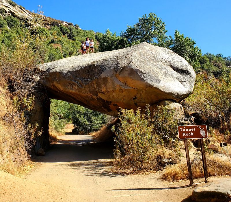Sequoia National Park: Where Majestic Trees Meet Murky Skies