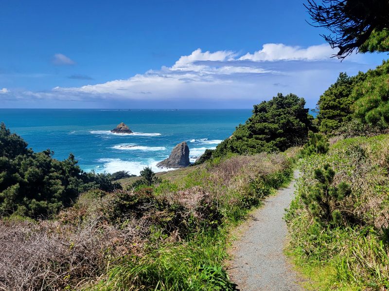 Port Orford Heads, trails above the harbor