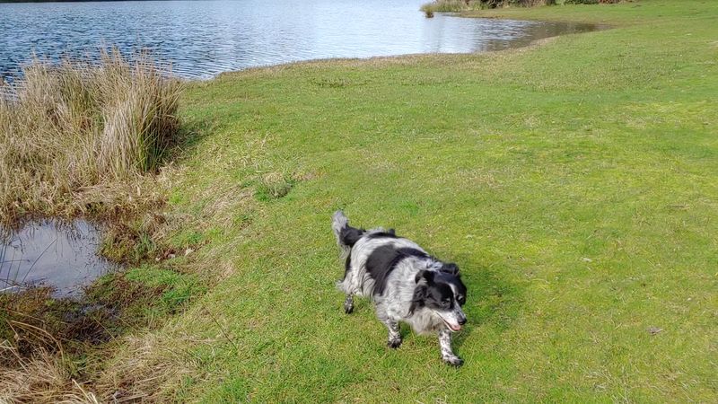 Lake And Lagoon Time At Coffenbury Lake