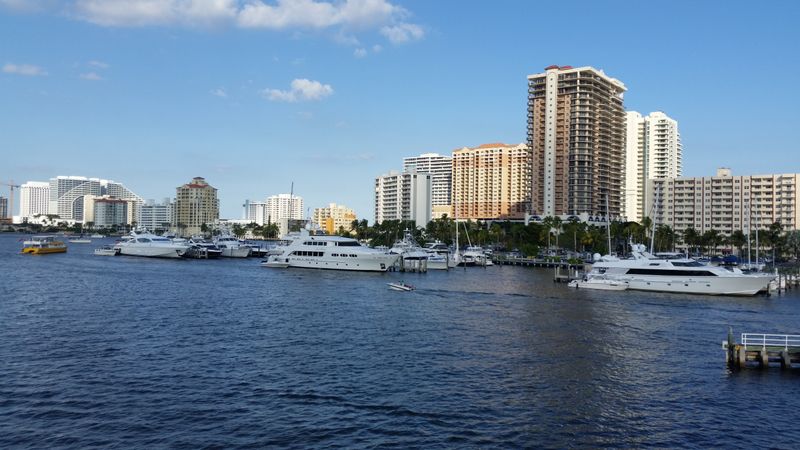 Manatee Etiquette Is Law, Look, Do Not Touch, And Give Space