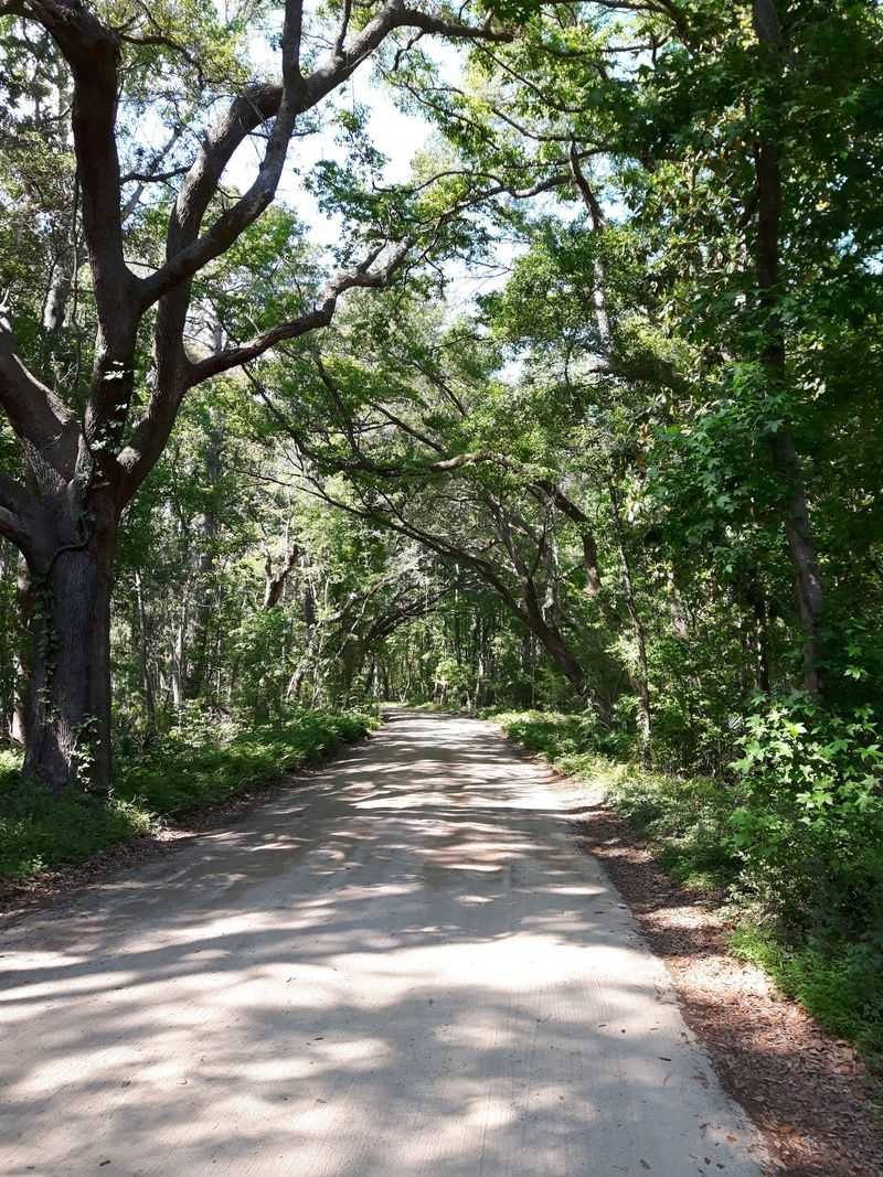 A Scenic Highway That Reveals the Island Slowly