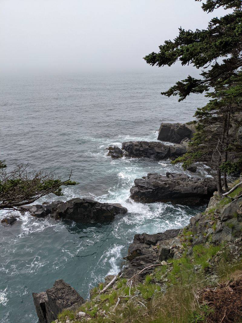 Cutler in Downeast Maine