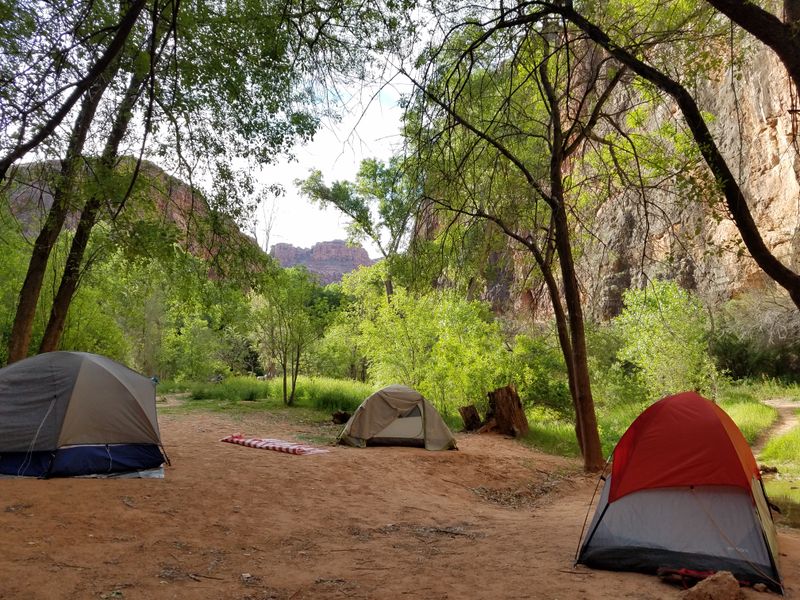 Camping Under Winter's Starlit Canyon Skies