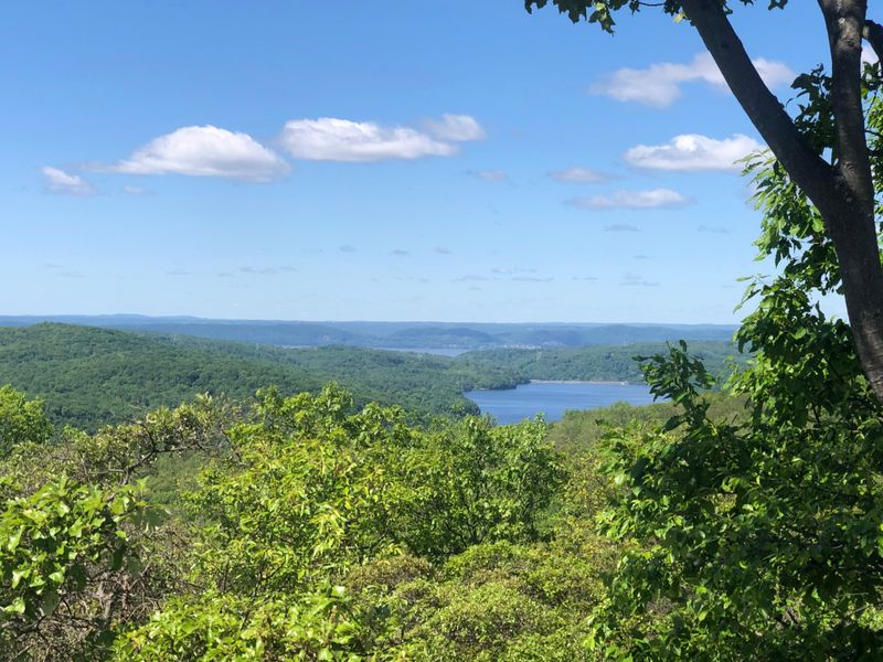 Turkey Mountain Urban Wilderness Area