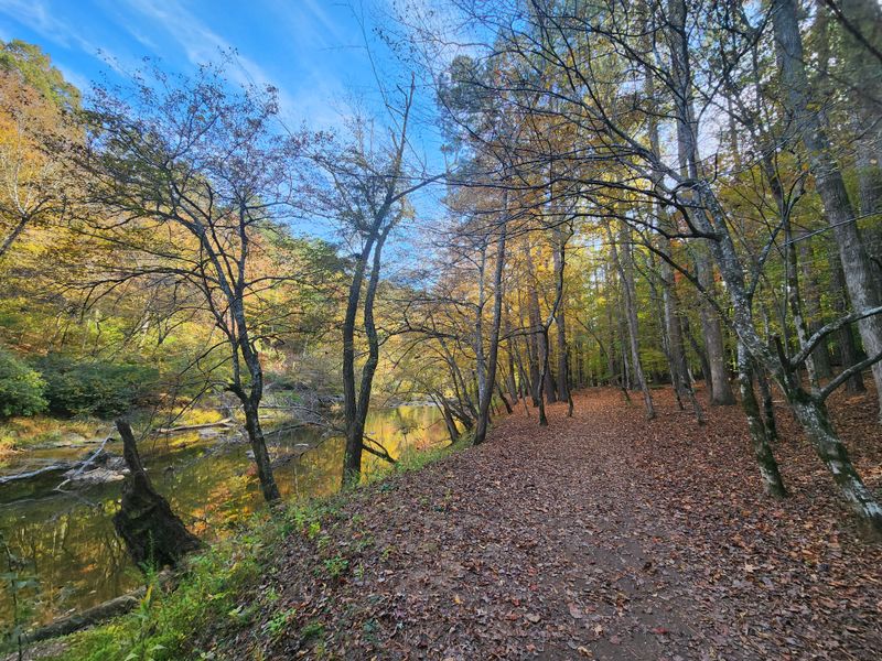 Follow the Eno River Paths Before Leaving Town
