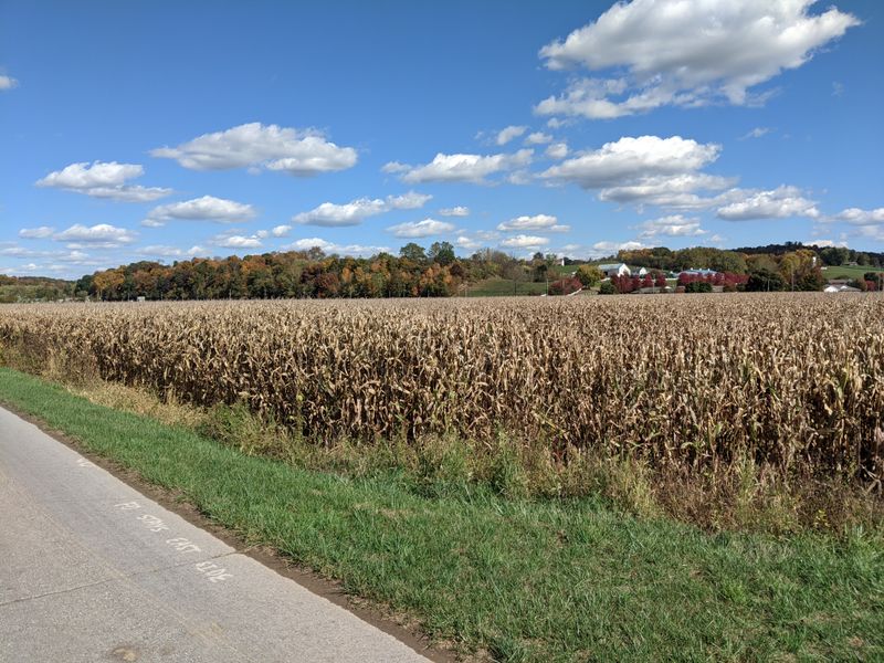 Holmes County Loop around Walnut Creek and Berlin