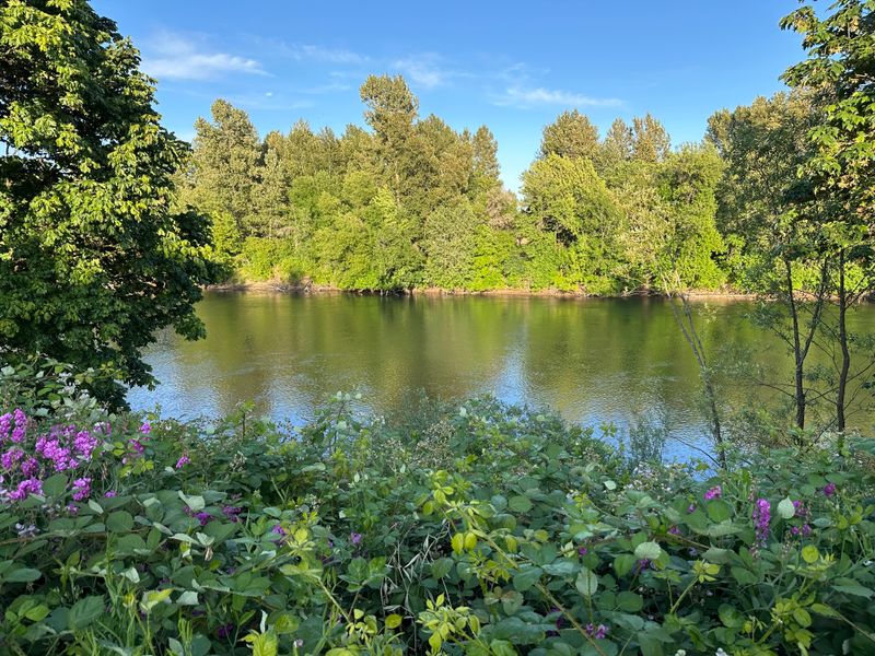 Corvallis Riverfront and Campus Greenway