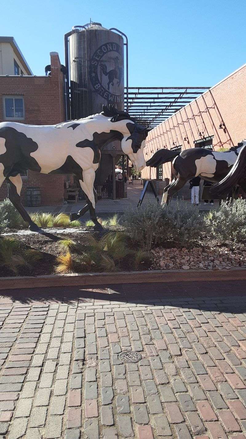 Annual rhythm that turns into tradition