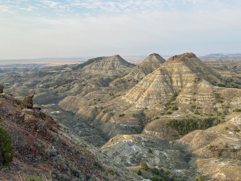 Terry Badlands and Prairie Mix