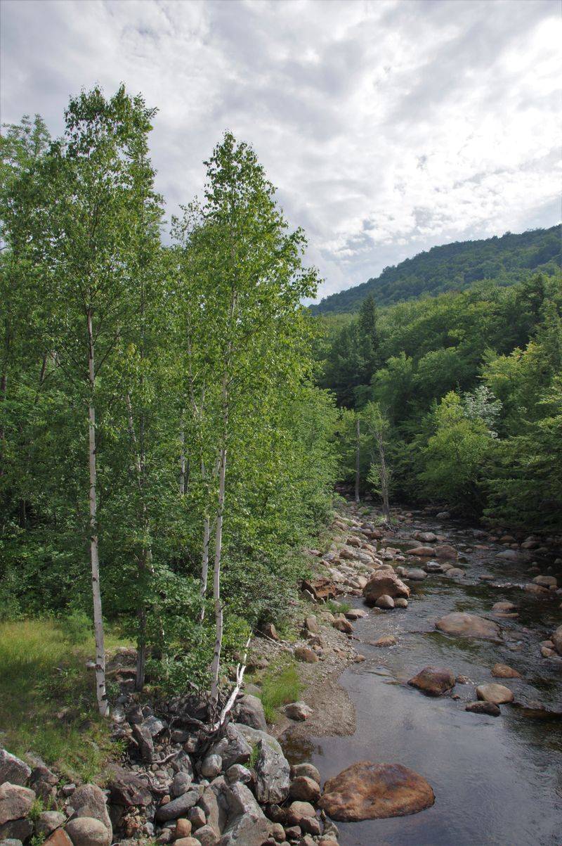 Dana Place Inn Trail Access