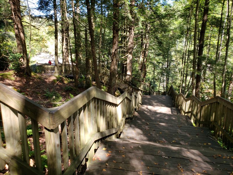 Trails that match your pace, from easy to aerobic