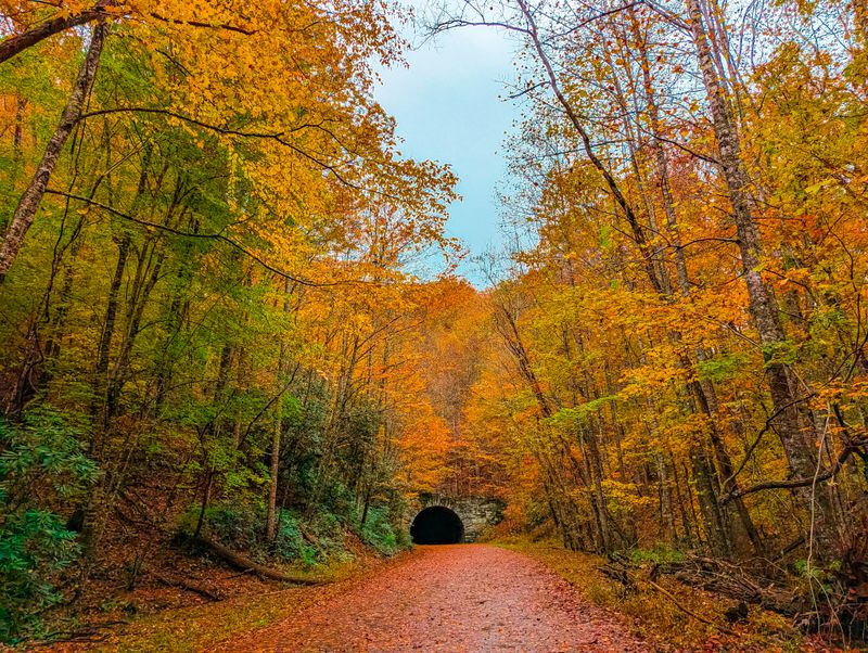 The Road to Nowhere, Lakeview Drive Mystery