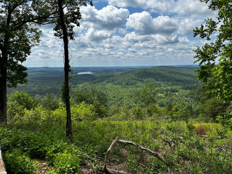 Uwharrie National Forest backroads via NC 109 and Forest Service loops