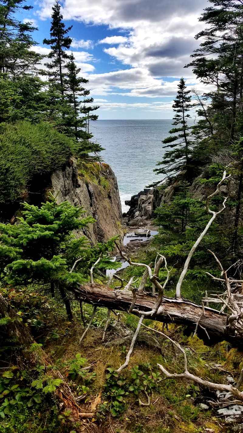 Edge Of The Map Mood