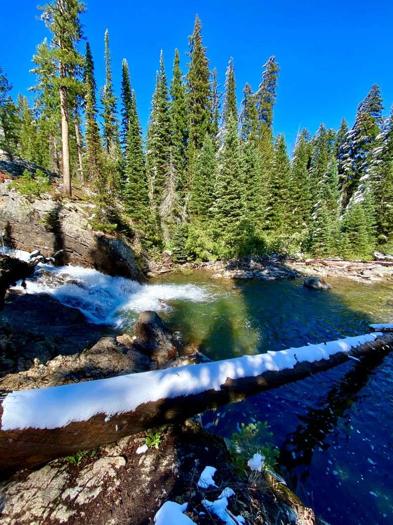 Seasonal Transformations Throughout the Year