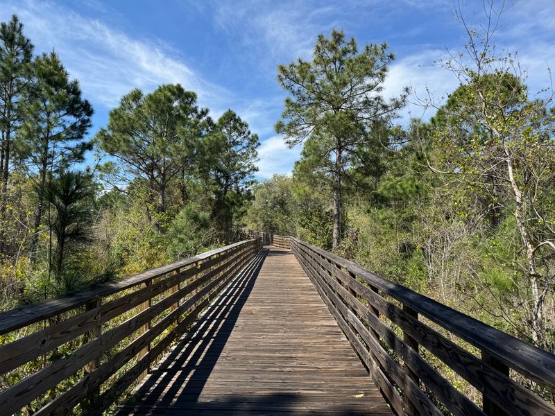 Hugh S Branyon Backcountry Trail, 3801 Orange Beach Blvd, Orange Beach, AL