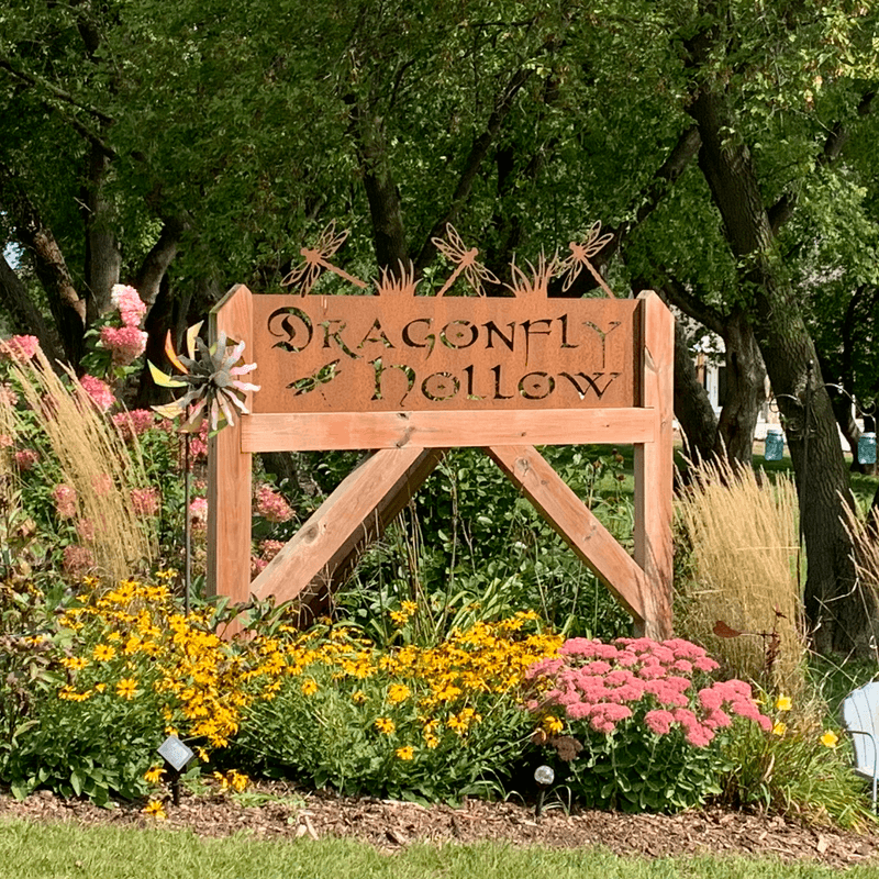 Hickory Mill Town Roots and Lake Day Detour