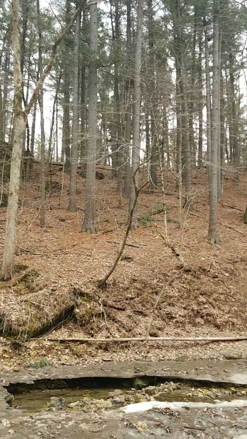 Luxemburg and White Pine Hollow State Forest