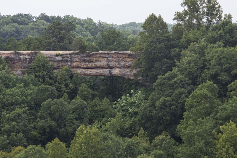Natural Bridge State Resort Park