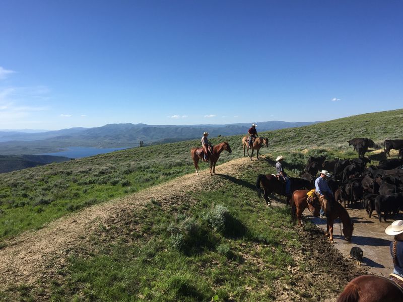 Strawberry Reservoir