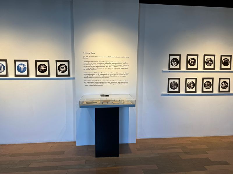 Art Galleries Showcase Local Creative Talent