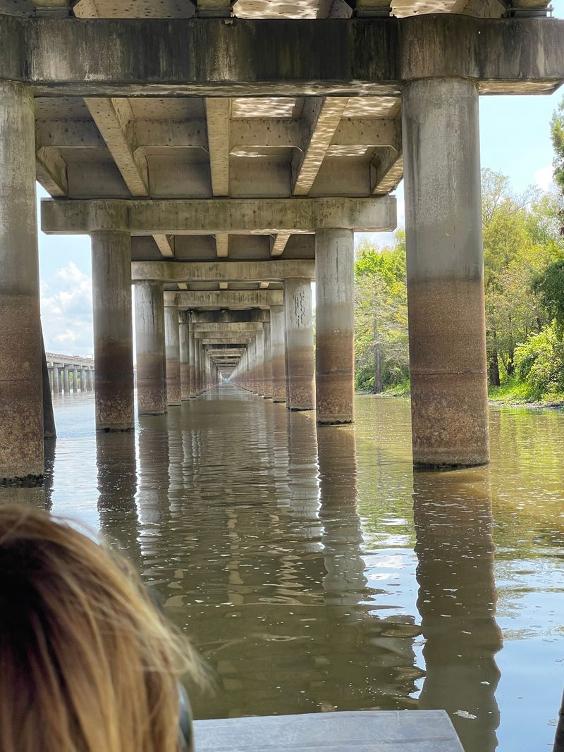 Henderson, Henderson Swamp Edge