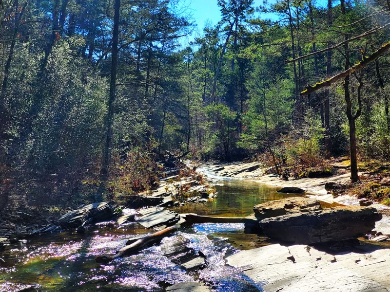 Beavers Bend State Park