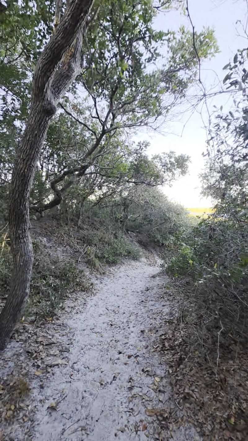 Anastasia State Park, dunes, trails, and gentle surf