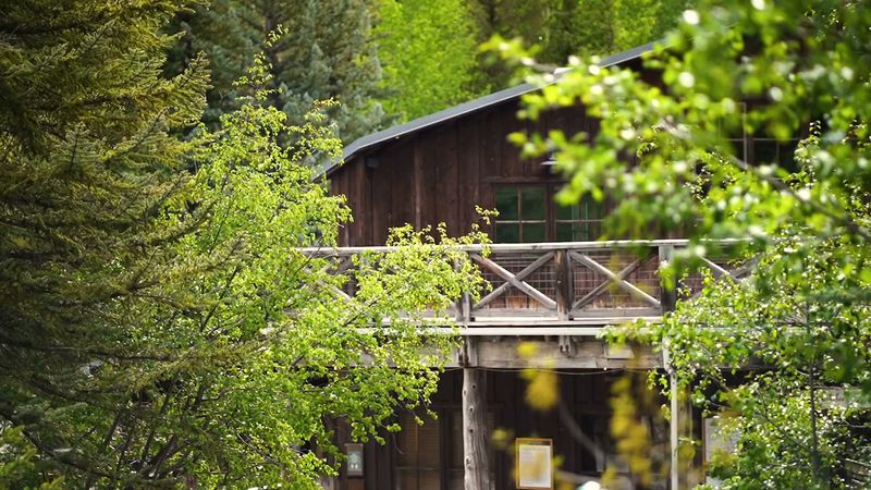 Sundance and the Storytelling Woods