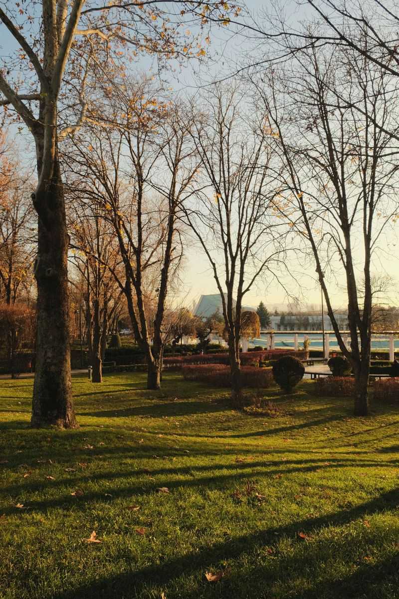 Driving Past Barriers Into Undesignated Park Areas