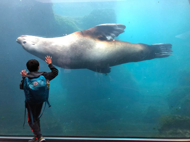 Alaska SeaLife Center, 301 Railway Ave, Seward, AK 99664