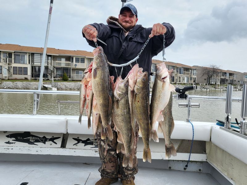 Lake Erie Perch and Walleye