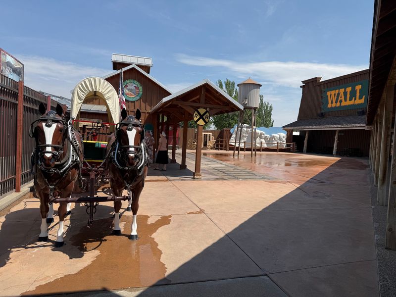 Cowboy Culture and Ranching Legacy: Living Western Traditions