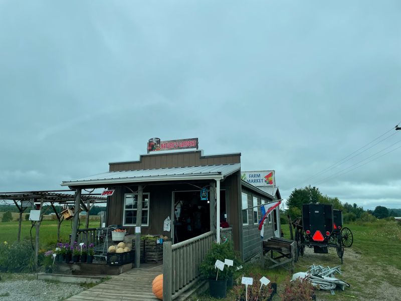 Technology Boundaries That Vary by Community